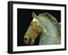 Detail from the Equestrian Statue of Marcus Aurelius-null-Framed Giclee Print