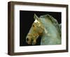 Detail from the Equestrian Statue of Marcus Aurelius-null-Framed Giclee Print