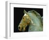 Detail from the Equestrian Statue of Marcus Aurelius-null-Framed Giclee Print