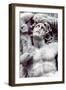 Detail from the Great Frieze of the Pergamon Altar, 180-159 BC-null-Framed Photographic Print