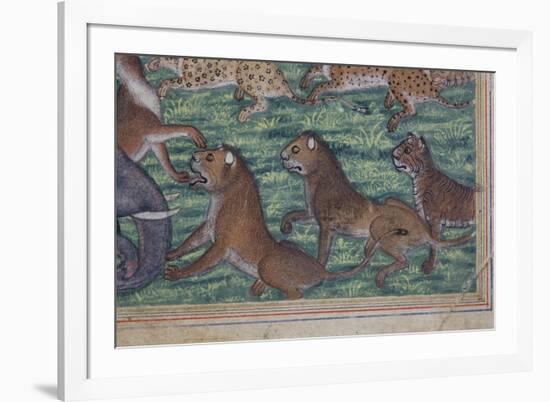 Detail from the Jackal Who Pronounced Himself King, C.1560-65-null-Framed Giclee Print