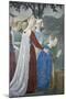 Detail from the Legend of the True Cross Showing Queen of Sheba in Adoration of Tree of Cross-Piero della Francesca-Mounted Giclee Print