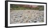 Detail in the Riverbed, Stones, Zion National Park, Utah, Usa-Rainer Mirau-Framed Photographic Print
