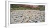 Detail in the Riverbed, Stones, Zion National Park, Utah, Usa-Rainer Mirau-Framed Photographic Print