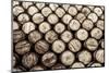 Detail Monochrome View of Stacked Wine and Whisky Wooden Barrels-MartinM303-Mounted Photographic Print