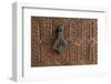 Detail of a Carved Wooden Door in the Musee De Marrakech, Marrakech, Morocco, North Africa, Africa-Martin Child-Framed Photographic Print