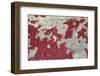 Detail of a cement wall with peeling paint in the Roosevelt Sweater Mill.-Mallorie Ostrowitz-Framed Photographic Print