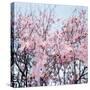 Detail of a cherry tree-null-Stretched Canvas
