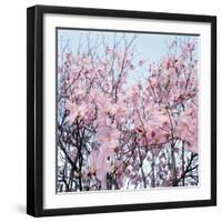 Detail of a cherry tree-null-Framed Photographic Print