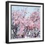 Detail of a cherry tree-null-Framed Photographic Print