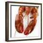 Detail of a Cooked Lobster-Alexander Feig-Framed Photographic Print