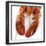 Detail of a Cooked Lobster-Alexander Feig-Framed Photographic Print