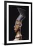 Detail of a Fine Magbetu Harp Depicting the Head Finial in Profile-null-Framed Giclee Print