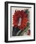 Detail of a Flowering Cactus-null-Framed Giclee Print