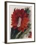 Detail of a Flowering Cactus-null-Framed Giclee Print