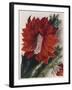 Detail of a Flowering Cactus-null-Framed Giclee Print