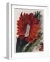 Detail of a Flowering Cactus-null-Framed Giclee Print