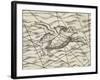 Detail of a flying turtle on a map of northern Europe-Italian-Framed Giclee Print