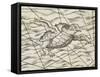 Detail of a flying turtle on a map of northern Europe-Italian-Framed Stretched Canvas