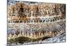 Detail of a Great scallop / King scallop shell, Norway-Franco Banfi-Mounted Photographic Print