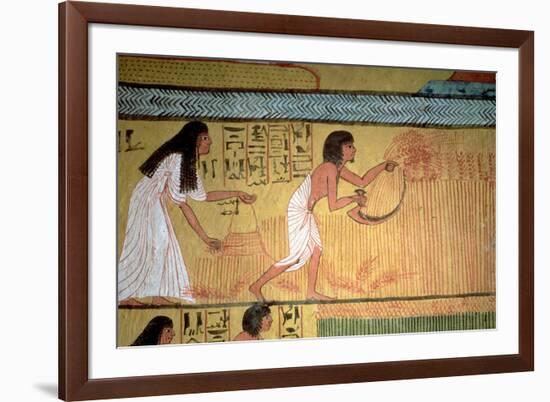 Detail of a Harvest Scene on the East Wall, from the Tomb of Sennedjem, the Workers' Village-null-Framed Premium Giclee Print