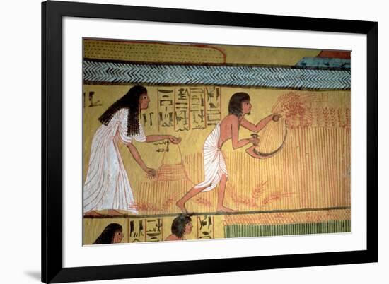 Detail of a Harvest Scene on the East Wall, from the Tomb of Sennedjem, the Workers' Village-null-Framed Premium Giclee Print