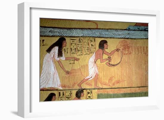 Detail of a Harvest Scene on the East Wall, from the Tomb of Sennedjem, the Workers' Village-null-Framed Giclee Print