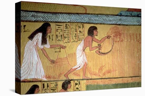 Detail of a Harvest Scene on the East Wall, from the Tomb of Sennedjem, the Workers' Village-null-Stretched Canvas