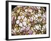 Detail of a 'Magnolia' Leaded Glass and Bronze Floor Lamp by Tiffany Studios-null-Framed Giclee Print