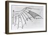 Detail of a Mechanical Wing, 1488-89-Leonardo da Vinci-Framed Giclee Print