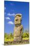 Detail of a Moai at Ahu Akivi-Michael-Mounted Photographic Print