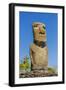 Detail of a Moai at Ahu Akivi-Michael-Framed Photographic Print