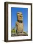 Detail of a Moai at Ahu Akivi-Michael-Framed Photographic Print