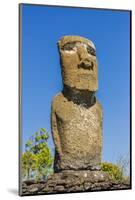 Detail of a Moai at Ahu Akivi-Michael-Mounted Photographic Print