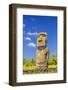 Detail of a Moai at Ahu Akivi-Michael-Framed Photographic Print