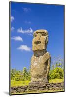 Detail of a Moai at Ahu Akivi-Michael-Mounted Photographic Print