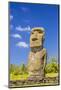 Detail of a Moai at Ahu Akivi-Michael-Mounted Photographic Print