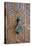 Detail of a Wooden Door and Bronze Knocker-Guy Thouvenin-Stretched Canvas