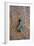 Detail of a Wooden Door and Bronze Knocker-Guy Thouvenin-Framed Photographic Print