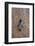 Detail of a Wooden Door and Bronze Knocker-Guy Thouvenin-Framed Photographic Print