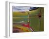 Detail of Abandoned Truck in New Mexico-Mallorie Ostrowitz-Framed Photographic Print