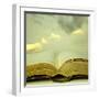 Detail of an Old Holy Bible Open with a Beautiful and Mystical Sky in the Background in a Golden Li-Valentina Photos-Framed Photographic Print