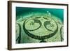 Detail of ancient Roman tessellatum mosaic, Villa a Protiro-Franco Banfi-Framed Photographic Print