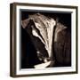 Detail of Antique Pages-Edoardo Pasero-Framed Photographic Print