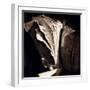 Detail of Antique Pages-Edoardo Pasero-Framed Photographic Print