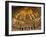 Detail of Apse Mosaic with Portraits of Popes, Basilica Di San Paolo Fuori Le Mura, Rome, Italy-Miva Stock-Framed Premium Photographic Print