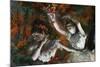 Detail of Ballerinas from The Rehearsal-Edgar Degas-Mounted Giclee Print