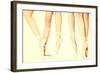 Detail of Ballet Dancer's Feet-B-D-S-Framed Photographic Print