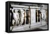 Detail of Balustrade-Daniele Da Volterra-Framed Stretched Canvas