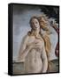 Detail of Birth of Venus-Sandro Botticelli-Framed Stretched Canvas